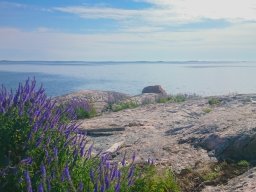 Self-guided kayaking in the Archipelago National Park, Finland