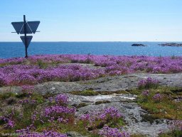 Self-guided kayaking in the Archipelago National Park, Finland